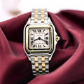 CARTIER - 2 TONE 18K - Panthere - mint preowned 2026